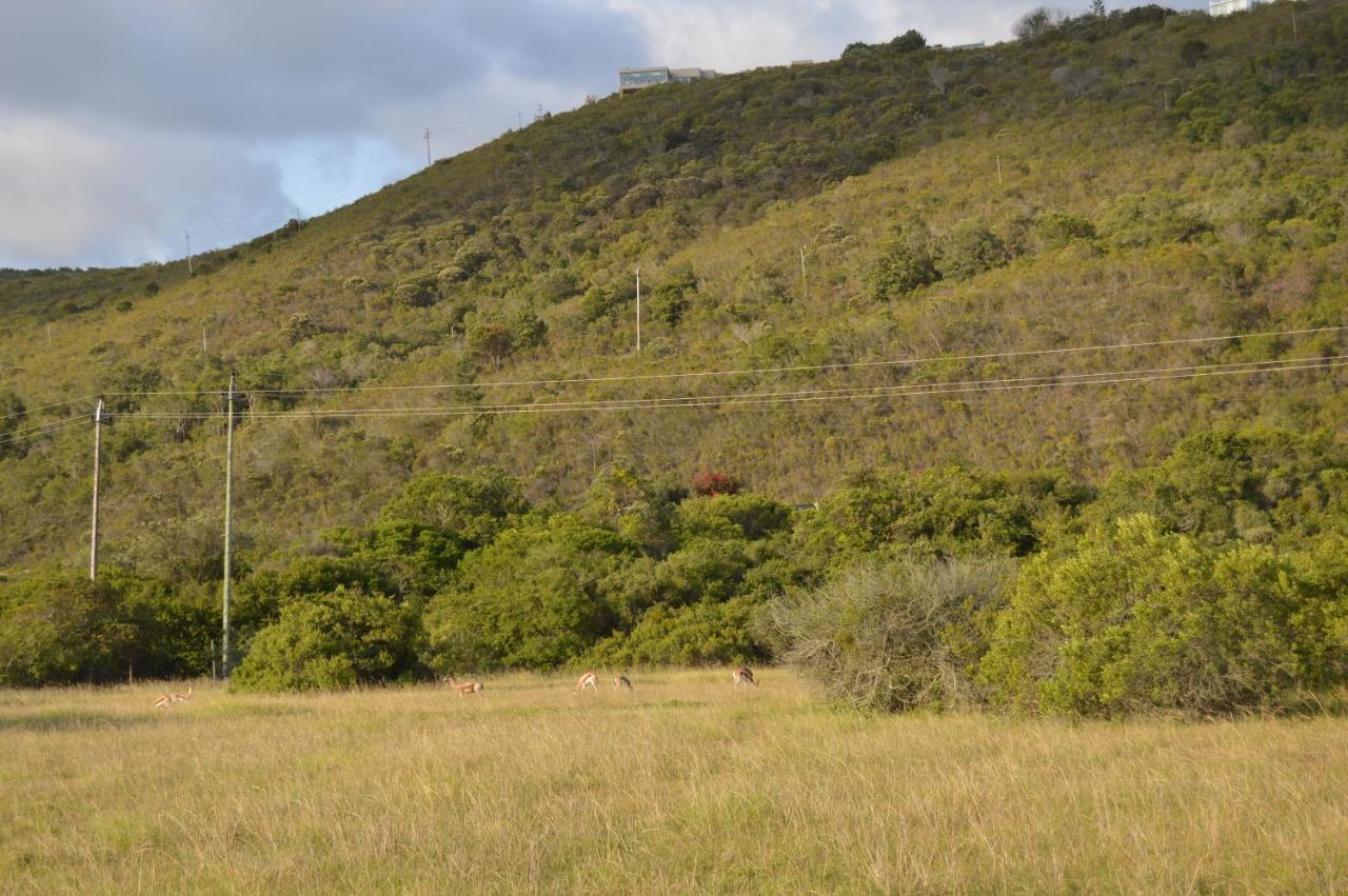 Matjesfontein Estate Keurbooms Chalet プレッテンバーグ・ベイ エクステリア 写真